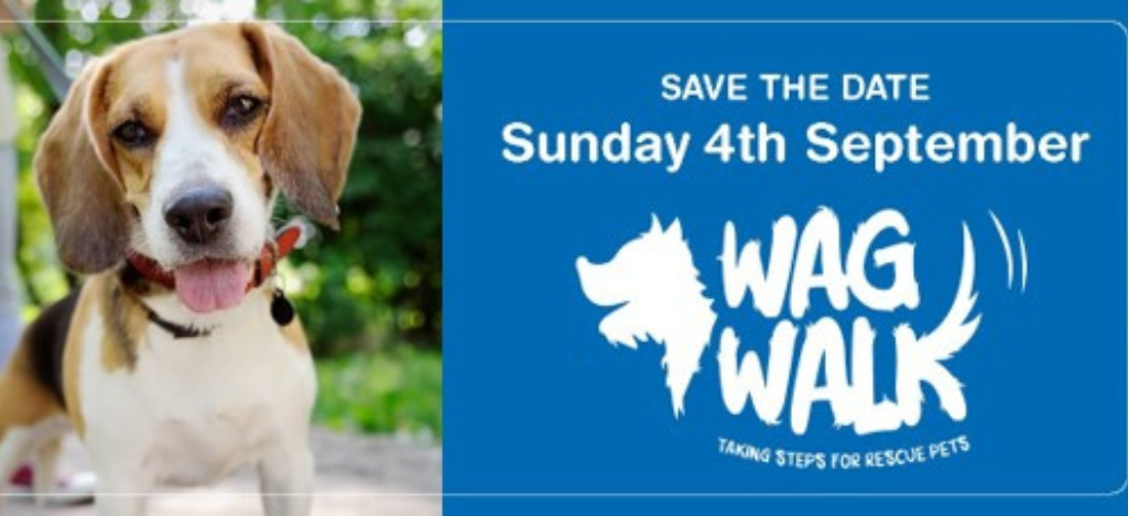 Grab your walking boots and raise some funds for Bath Cats & Dogs Home