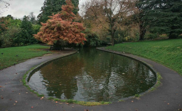 Restoration of Royal Victoria Park duck pond delayed due to leak