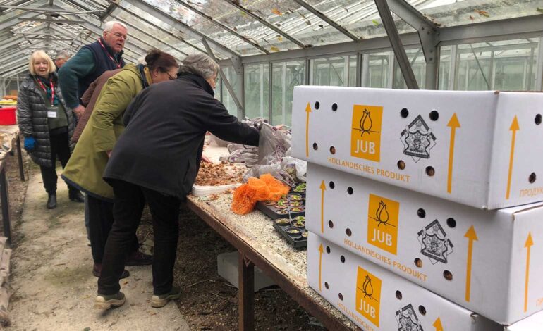 Thousands of bulbs being planted to mark unique international link