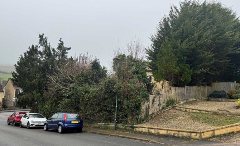 Planning inspector orders Bath homeowner to reduce hedge height