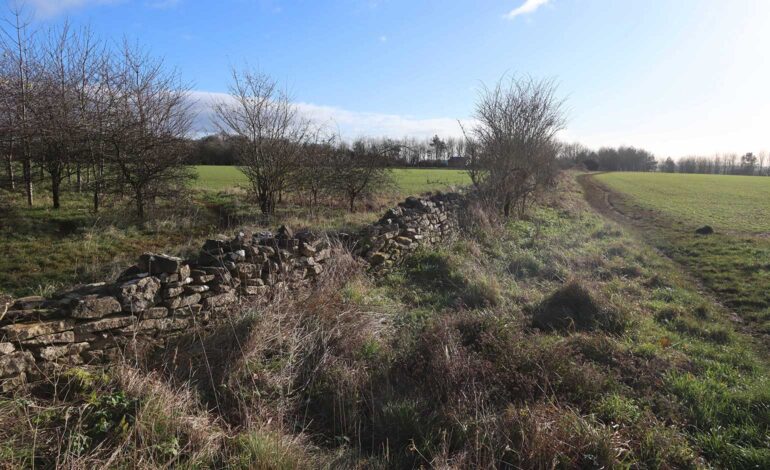 South Stoke plateau fields could be closed off if planning appeal fails