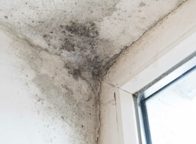 MP calls for urgent action to address cold and damp homes