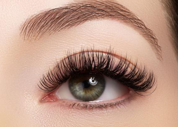 lash-w576