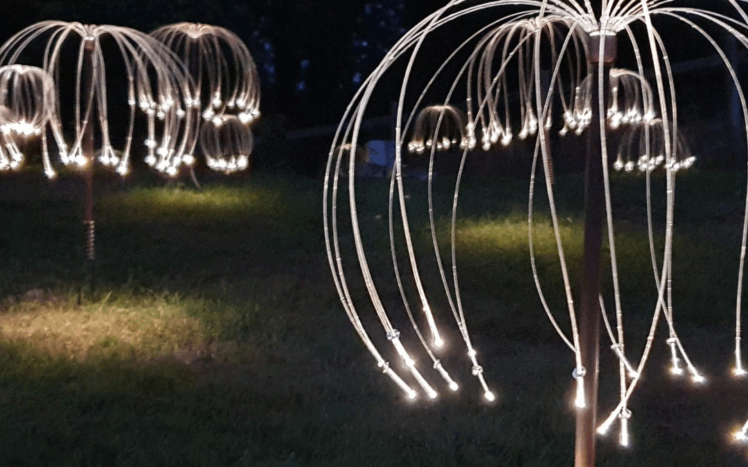 Dorothy House Firefly Appeal