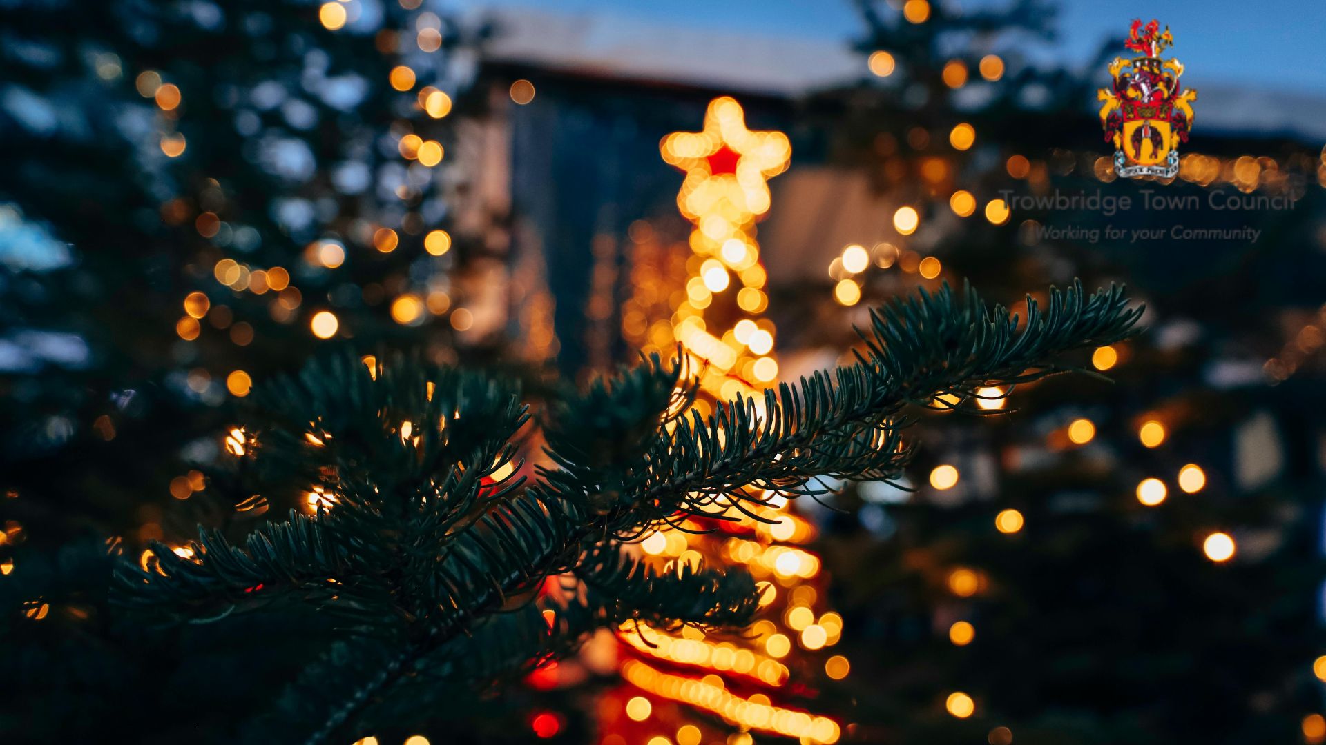 Trobridge christmas lights