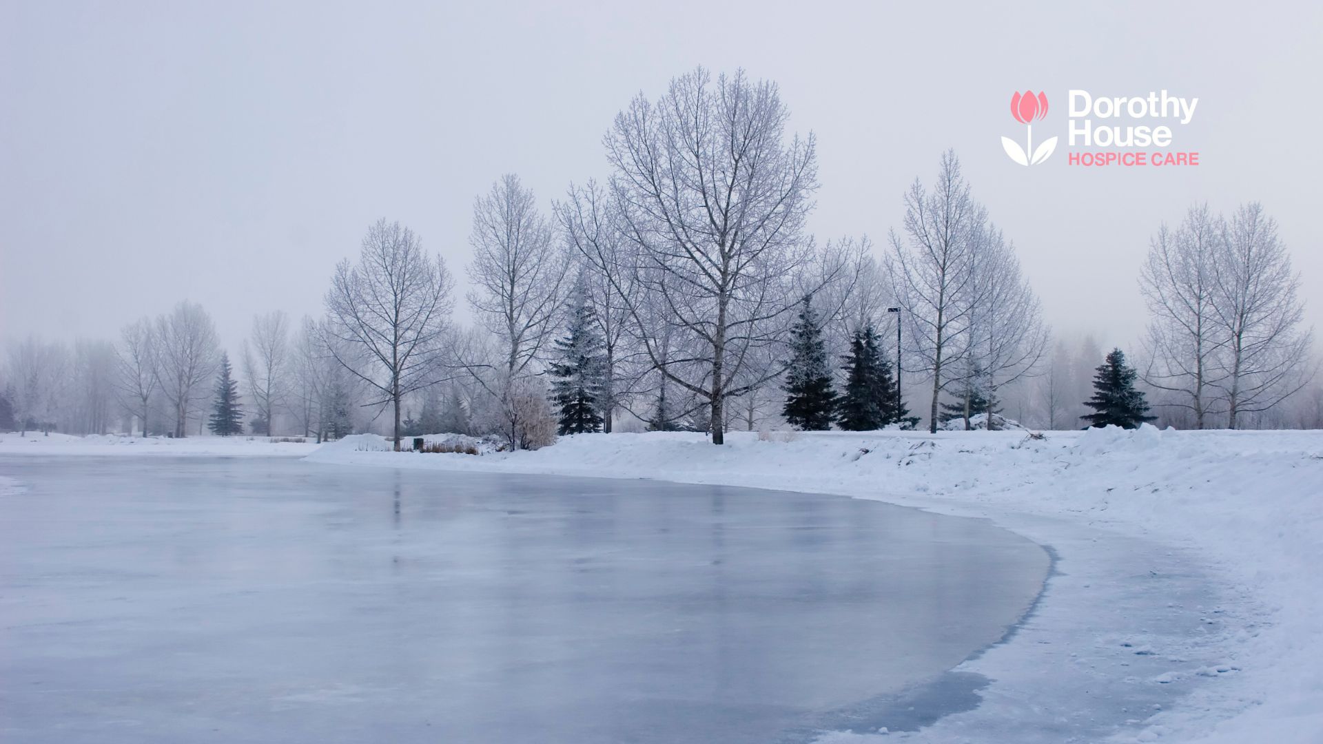 Untitled design (8) ice dippi