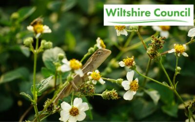 Wiltshire Council confirms its conservation commitment