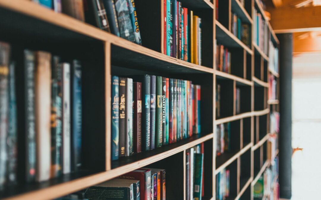 Wiltshire Libraries Go All In for National Year of Reading