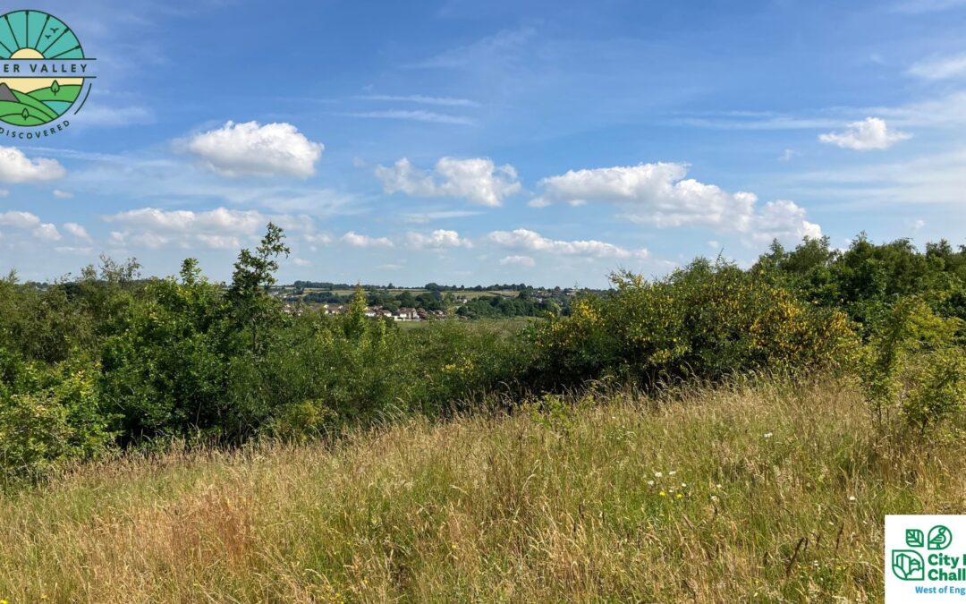 Somer Valley Rediscovered Partnership seeks a volunteer chair