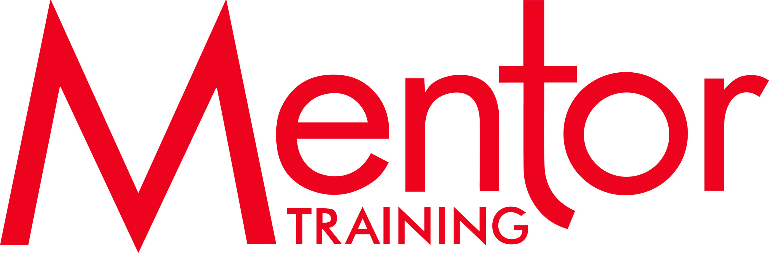 Mentor Training The Nursery