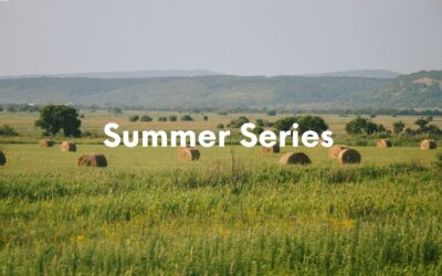 Summer Series returns to the American Museum & Gardens