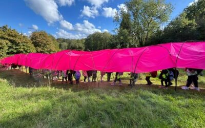 Forest of Imagination Returns to Bath with “Enter the Chrysalis” at Entry Hill This June