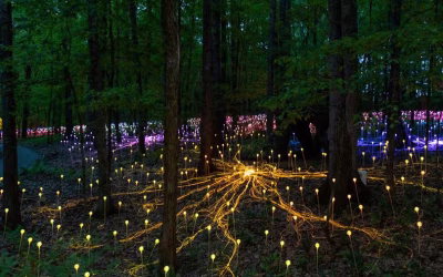 Dorothy House to mark 50 years with spectacular light installation