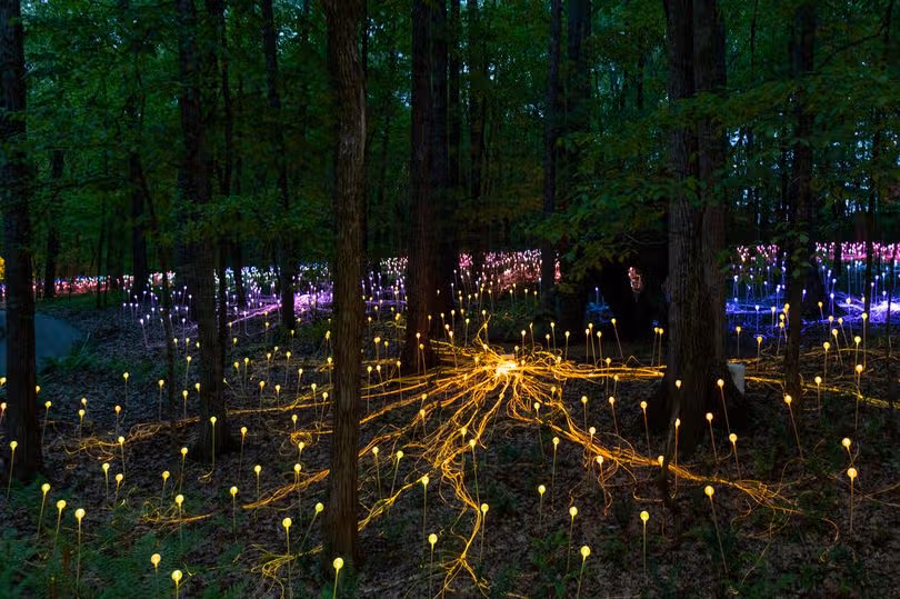 light trail