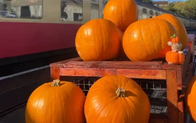 Pick-a-Pumpkin Express at Avon Valley Railway