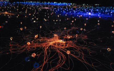 Dorothy House Celebrates 50 Years with Spectacular Moments of Light Installation